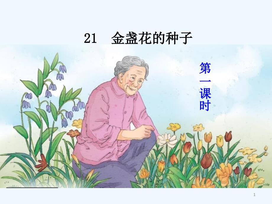 21金盏花的种子_第1页