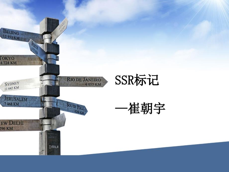 SSR分子标记讲解课件_第1页