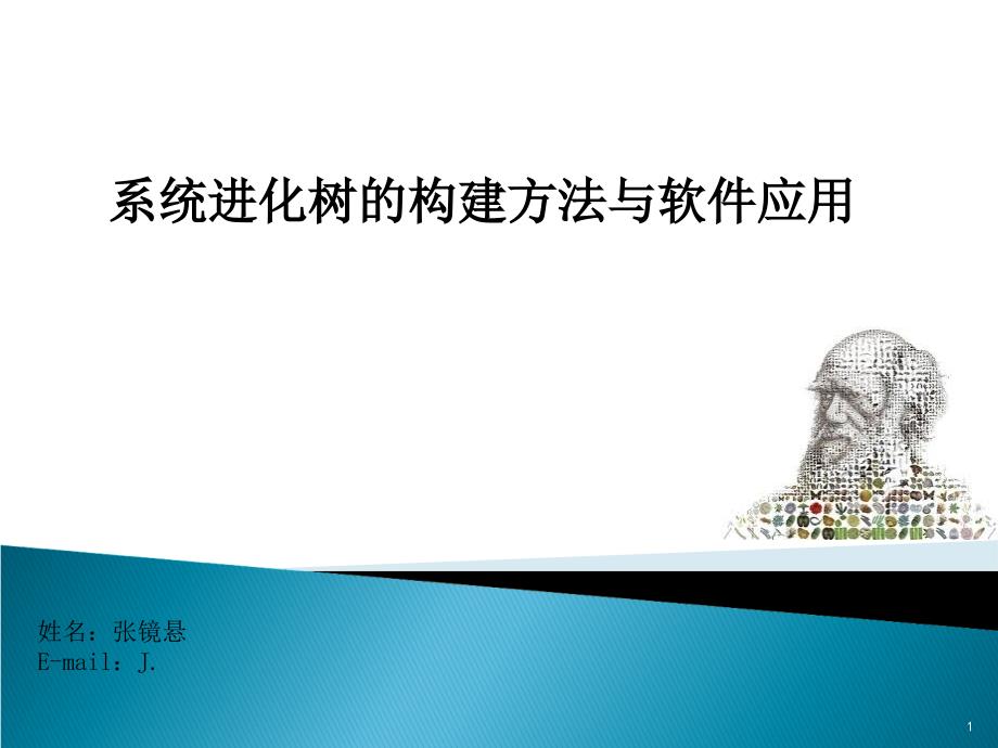 系统进化树的构建方法与软件应用ppt课件_第1页