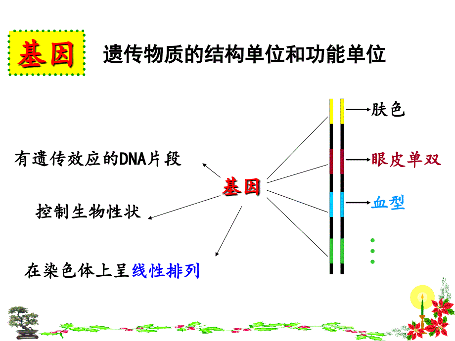 基因是怎样指导蛋白质合成的呢_第1页