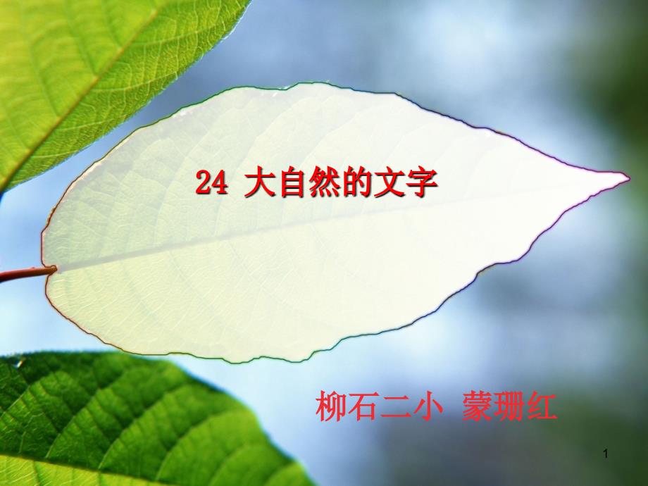 24大自然的文字(第2课时)_第1页