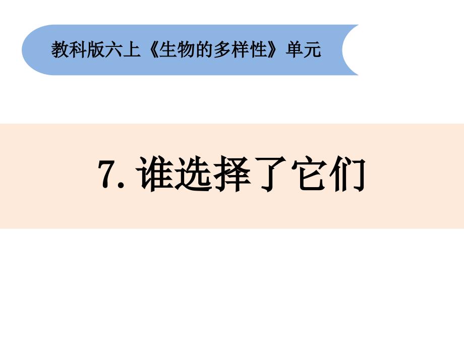 六年级上册科学课件-4.7谁选择了它们教科版 (共14张PPT)_第1页