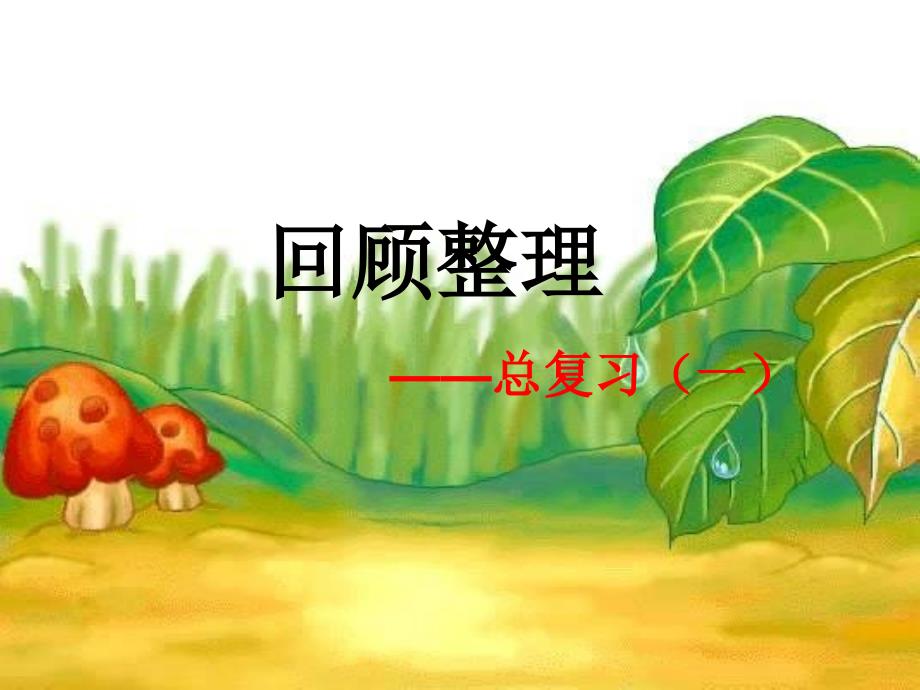 六年级上册数课件-学回顾整理-总复习青岛版（2014秋）_第1页