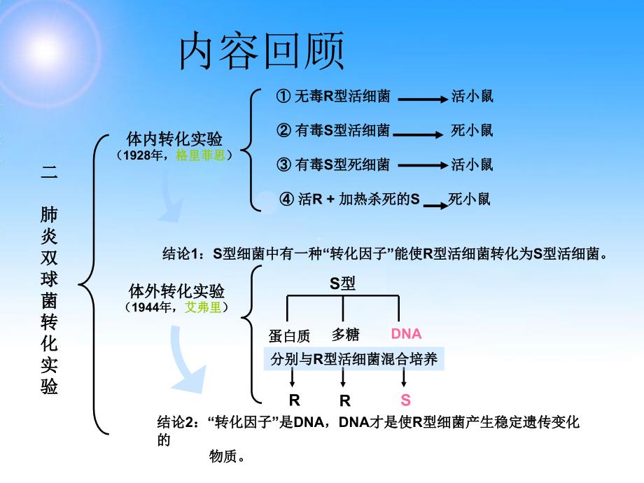 噬菌体侵染大肠细菌的实验(详细版)_第1页