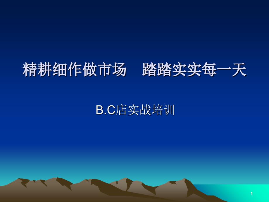 渠道精耕细作做B、C店_第1页