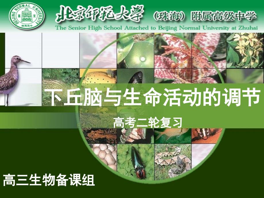 下丘脑与生命活动的调节_第1页