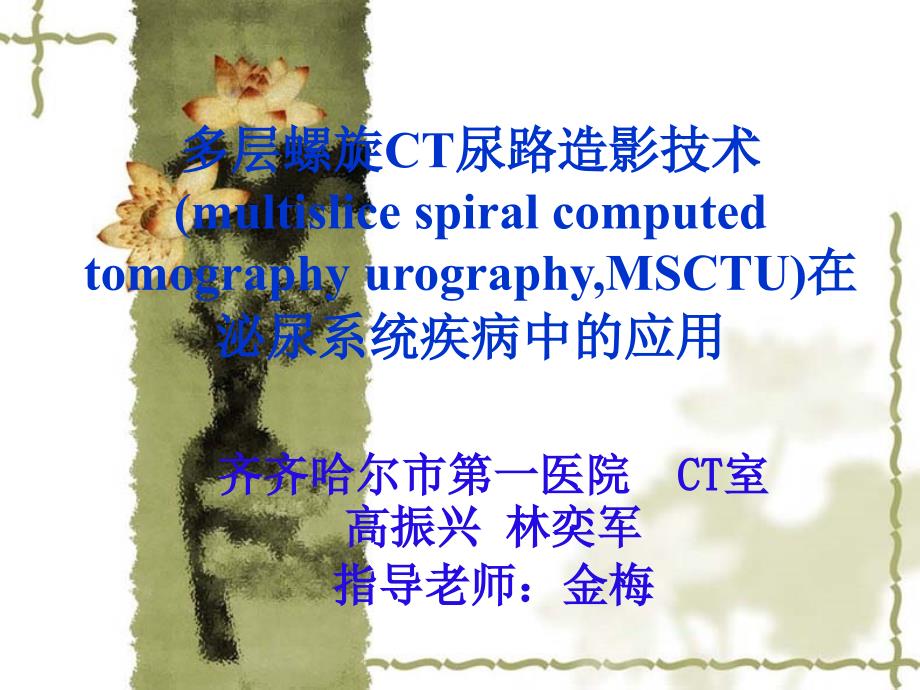 CTU在泌尿系疾病诊断的临床研究_第1页