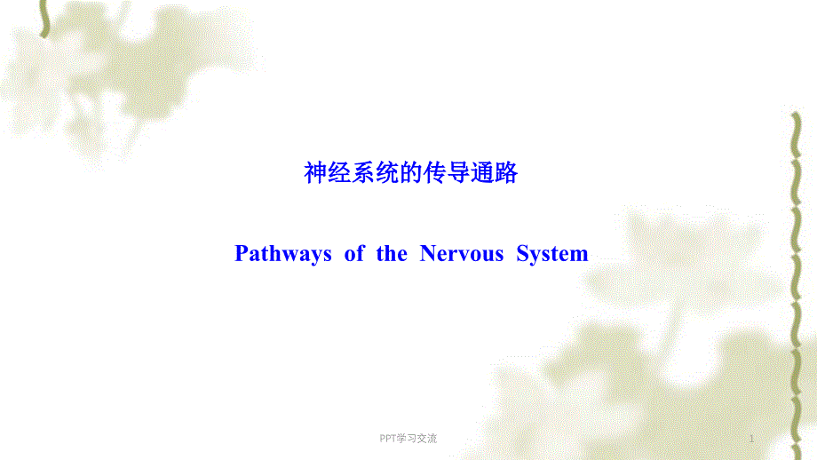 名校 系统解剖 神经系统的传导通路课件_第1页