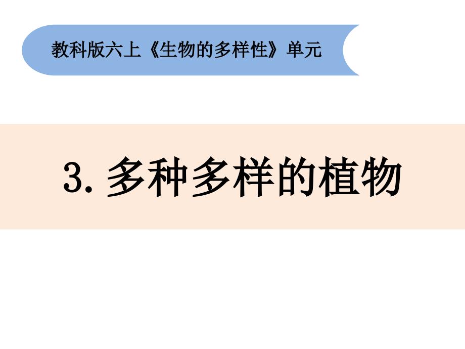 六年级上册科学课件-4.3《多种多样的植物》教科版 (共27张PPT)_第1页