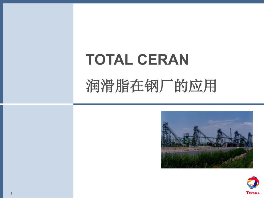 TOTAL CERAN 在钢铁行业的应用_第1页