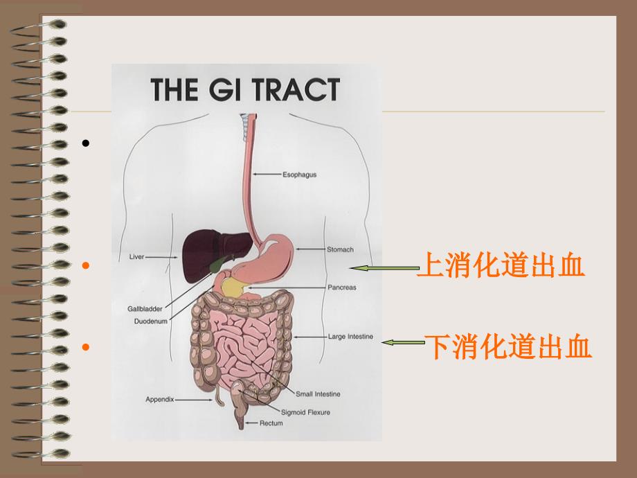 上消道大量出血-精选文档课件_第1页