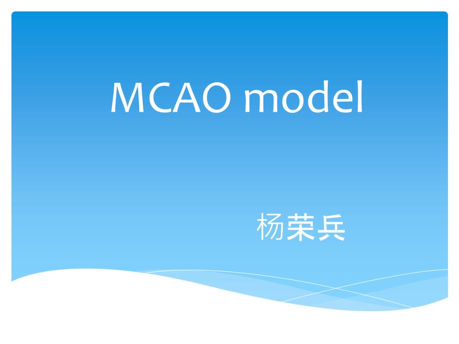 MCAO模型_第1页