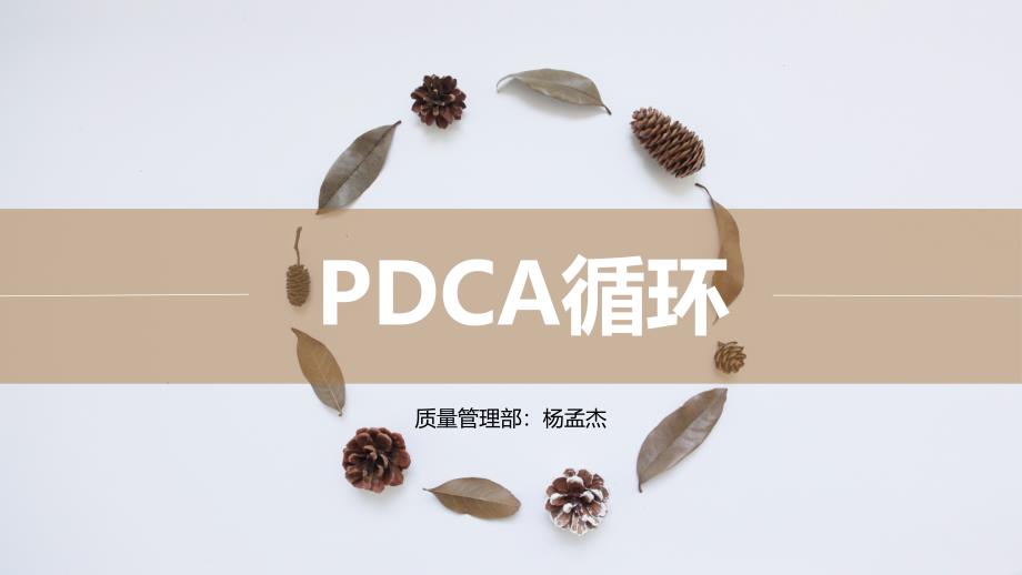 PDCA循环_第1页