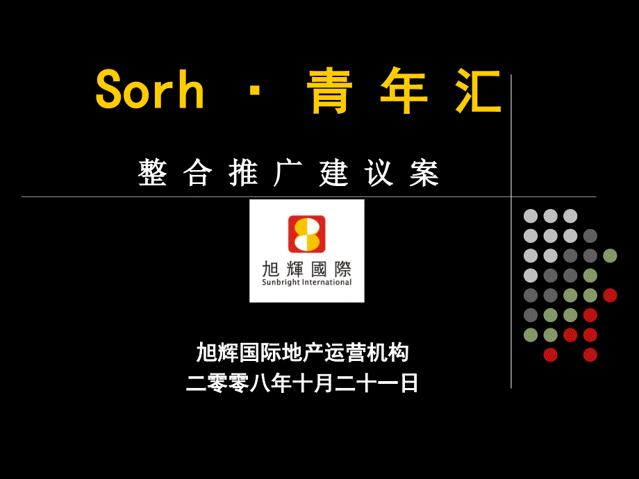 Sorh青年汇项目整合推广方案课件_第1页