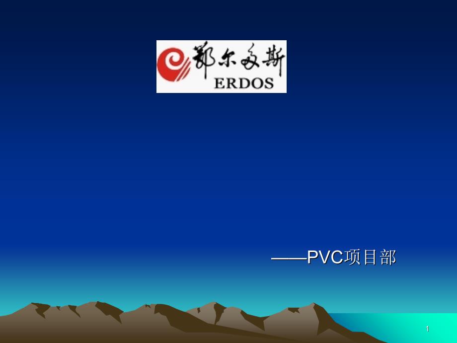 PVC项目简介幻灯片_第1页