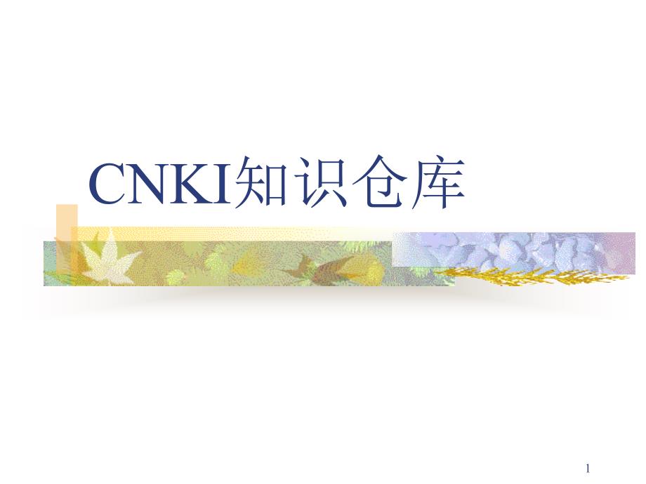 CNKI知识仓库_第1页