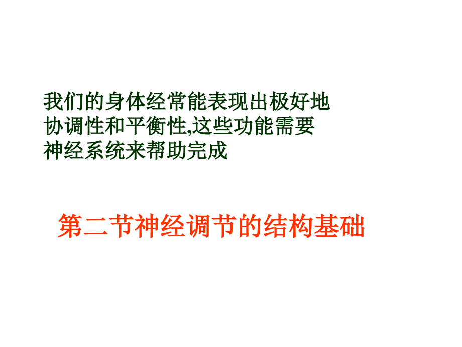 神经系统_第1页