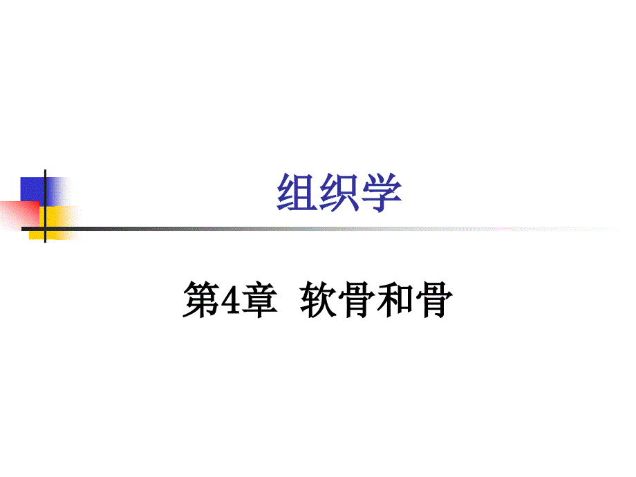 《医学组织学》课件04章 软骨和骨_第1页