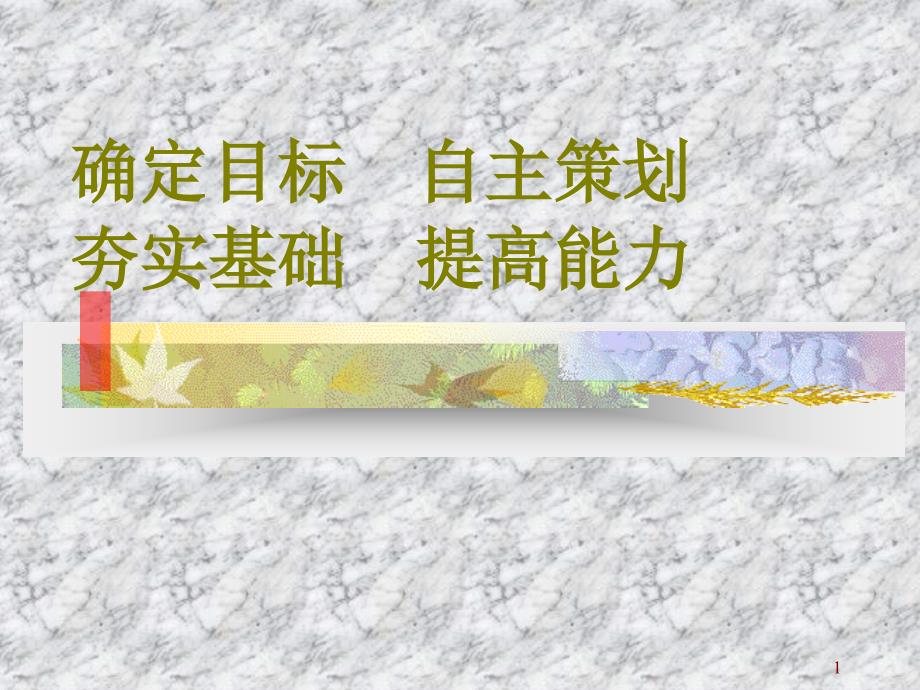 确定目标自主策划1_第1页