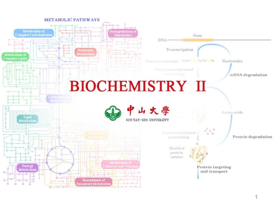 ch生物能学介绍_第1页