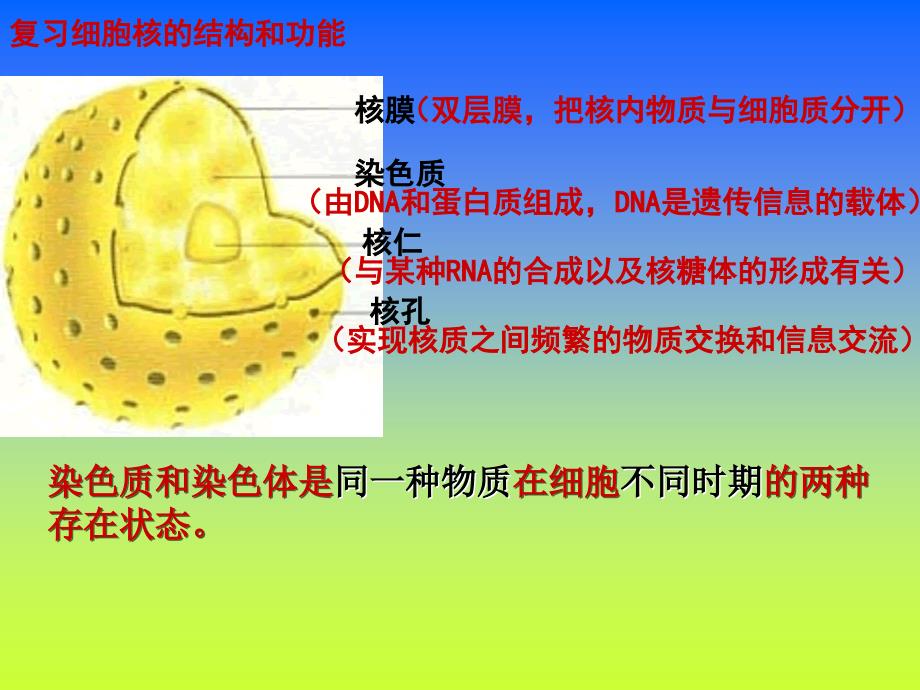 物质跨膜运输的实例40_第1页