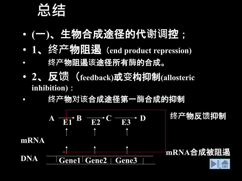 生物合成途径的代谢调控终产物阻遏end_第1页