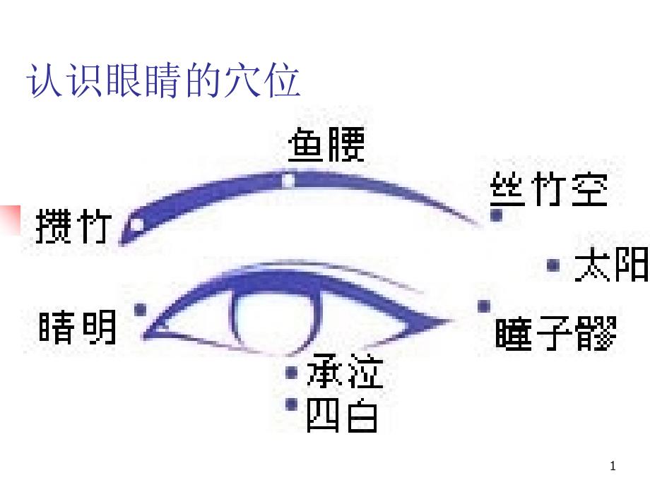 认识眼睛的穴位_第1页