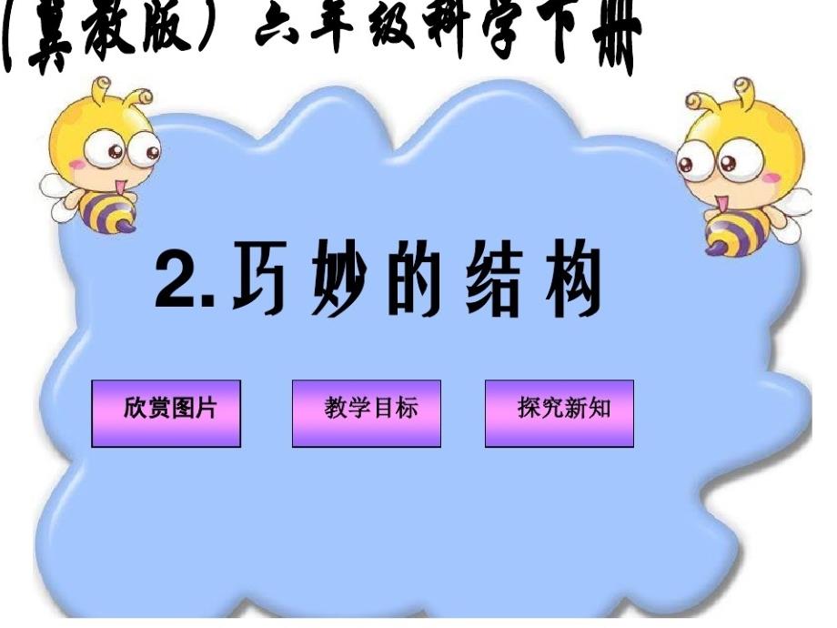 六年级下册科学课件-1.2 巧妙的结构丨冀教版(共45张PPT)_第1页