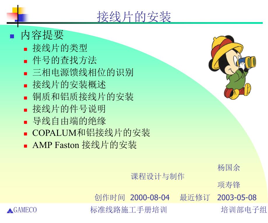 SWPM波音飞机接线片_第1页