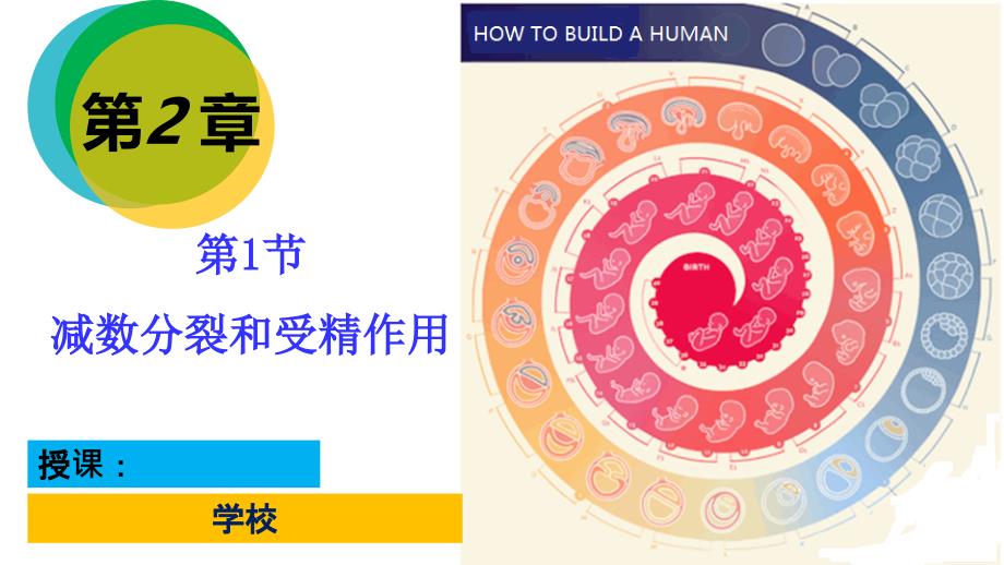 减数分裂(公开课)课件_第1页