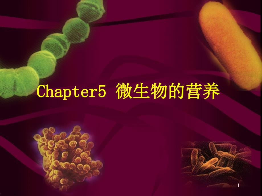 Chapter微生物的营养_第1页