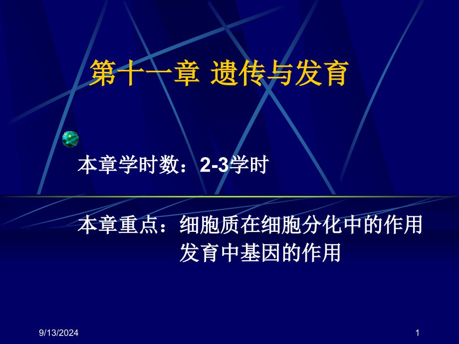 《遗传学》课件第11章 遗传与发育_第1页