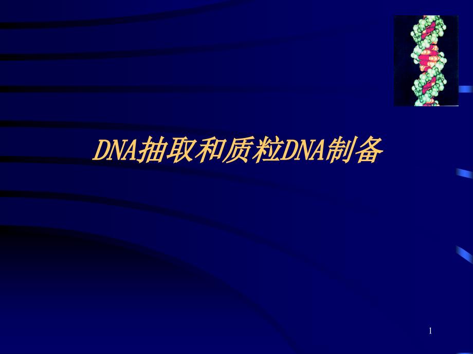 DNA抽提和质粒DNA制备_第1页