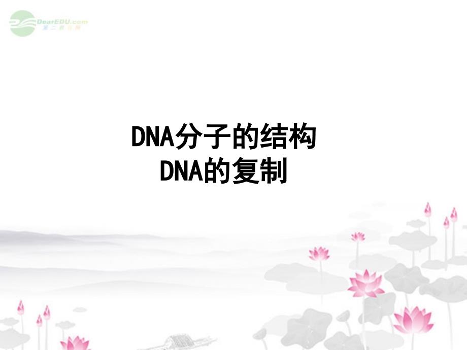 DNA分子的结构和DNA分子的复制_第1页