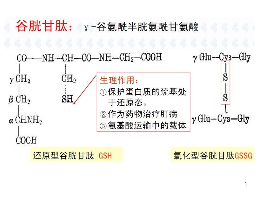 生化核酸代谢等_第1页