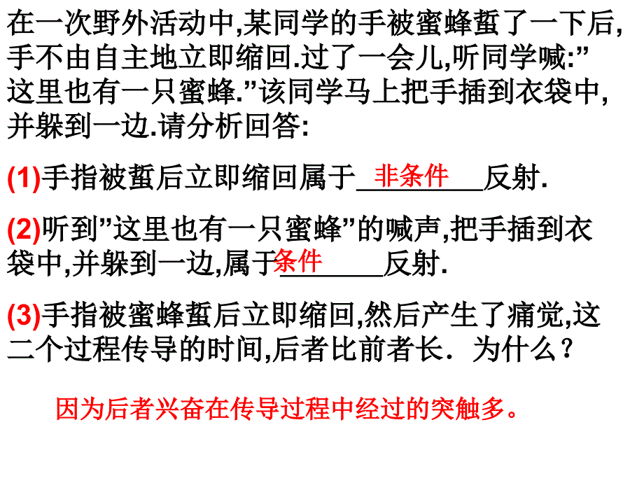 人脑的高级功能课件_第1页