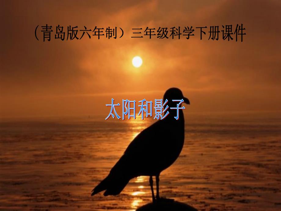 《太阳和影子》课件_第1页