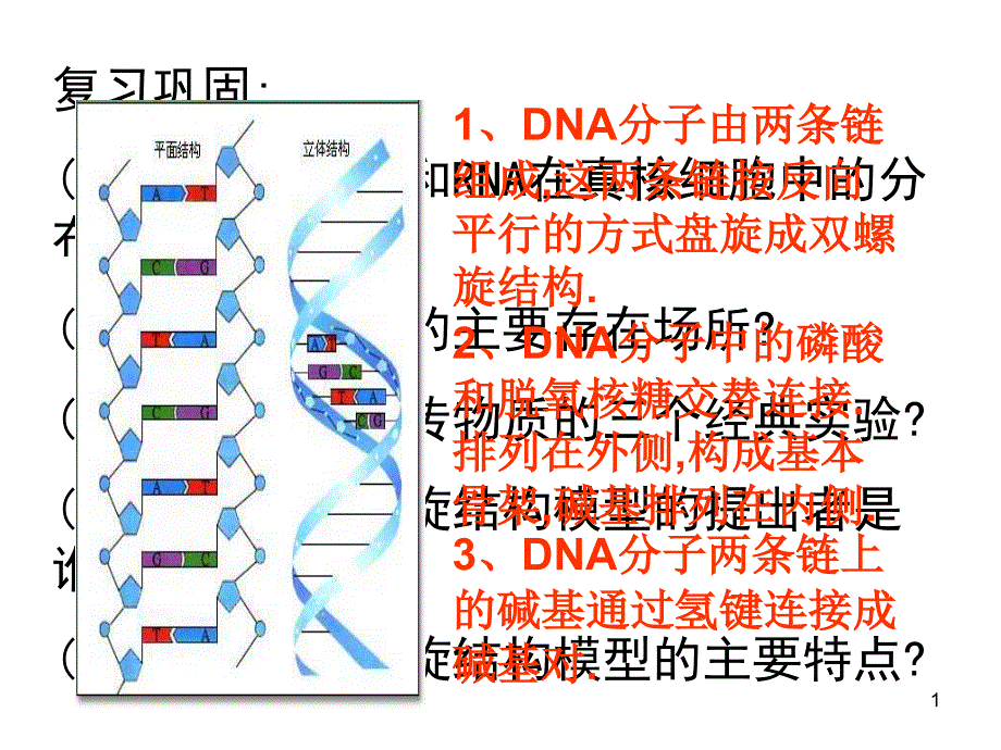 DNA的粗提取与鉴定1_第1页