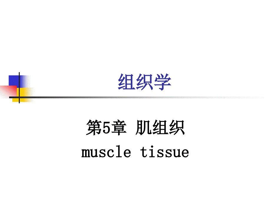 《医学组织学》课件05章 肌组织_第1页