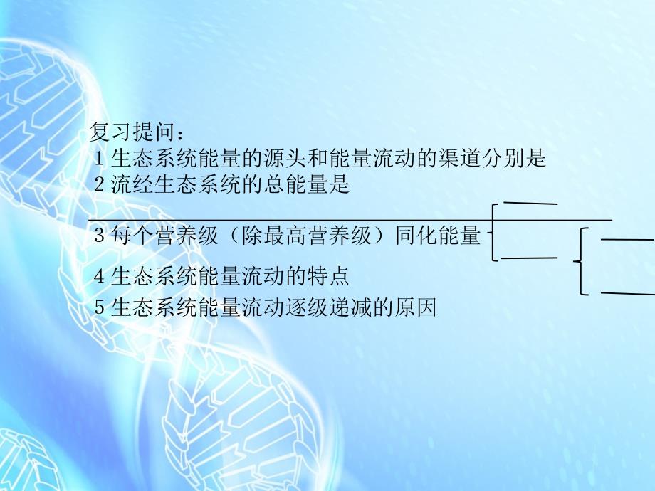 生态系统中能量传递效率计算_第1页