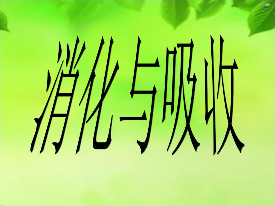 六年级下册科学课件-2.5 消化与吸收｜冀教版(共25张PPT)_第1页