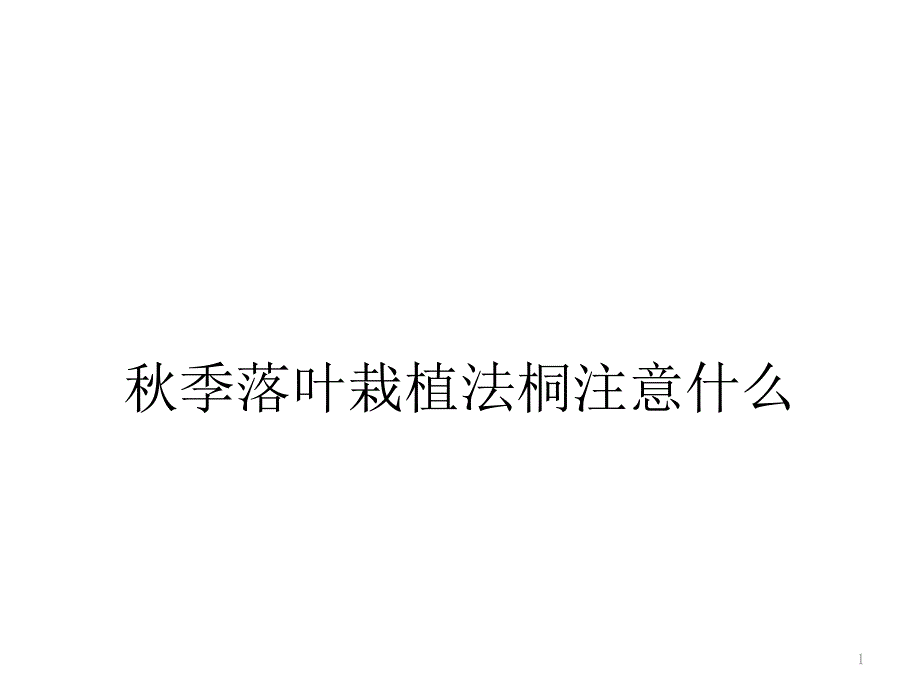 秋季落叶栽植法桐注意什么_第1页