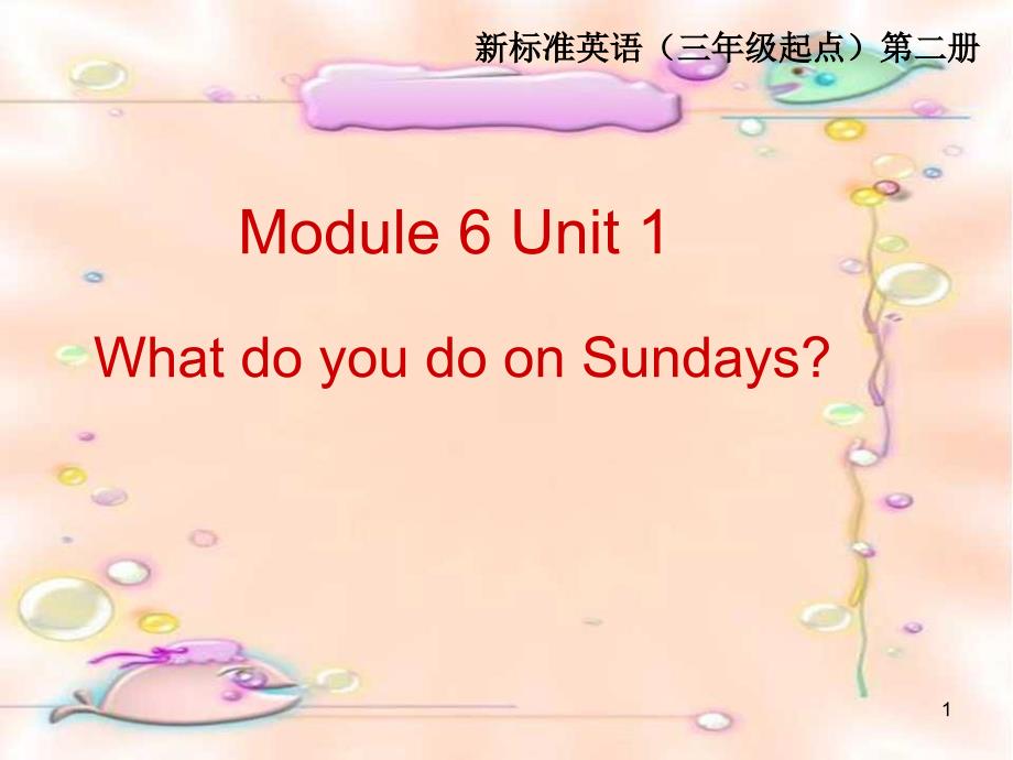 what-do-you-do-on-sundays-教学课件_第1页