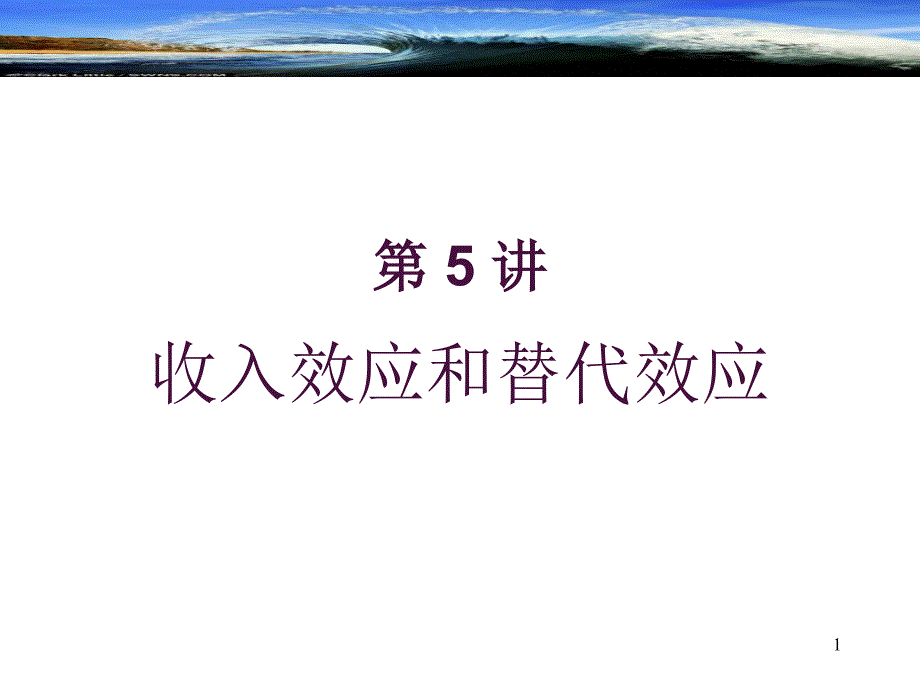 补偿需求函数_第1页