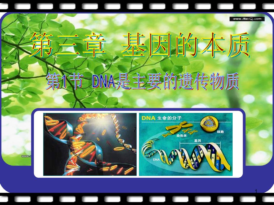 DNA是主要的遗传物质PPT_第1页