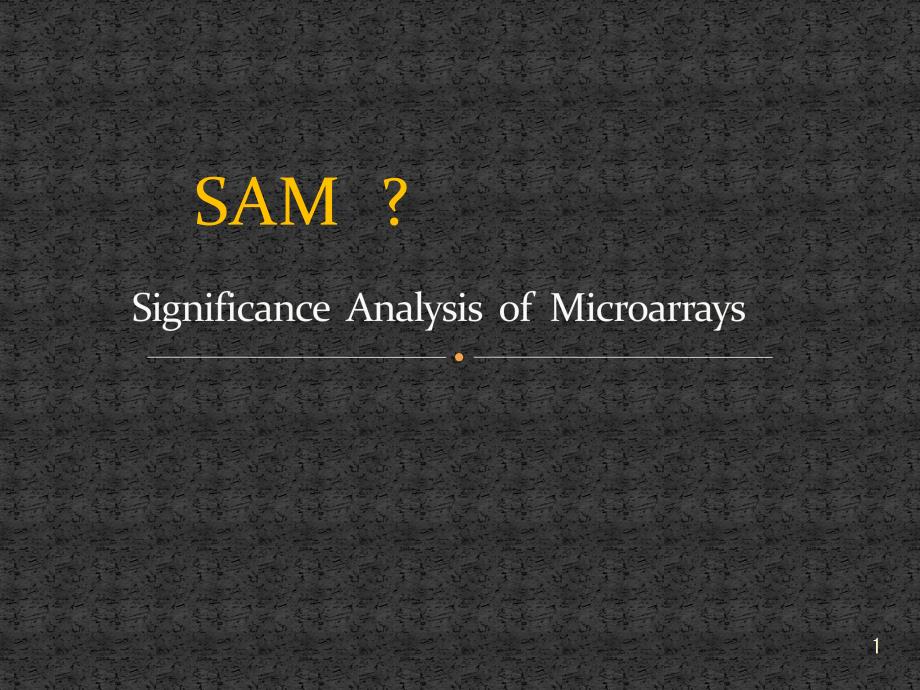 SAM PowerPoint 演示文稿_第1页