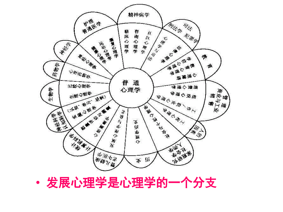 1.发展心理学1绪论_第1页