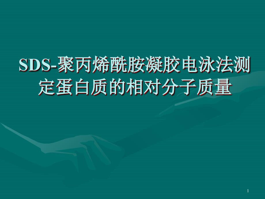 SDS聚丙烯酰胺凝胶电泳法测定蛋白质的相对分子质量_第1页