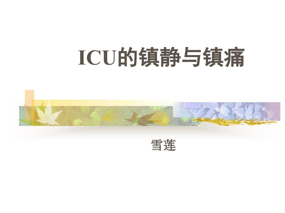 ICU的镇静与镇痛1_第1页