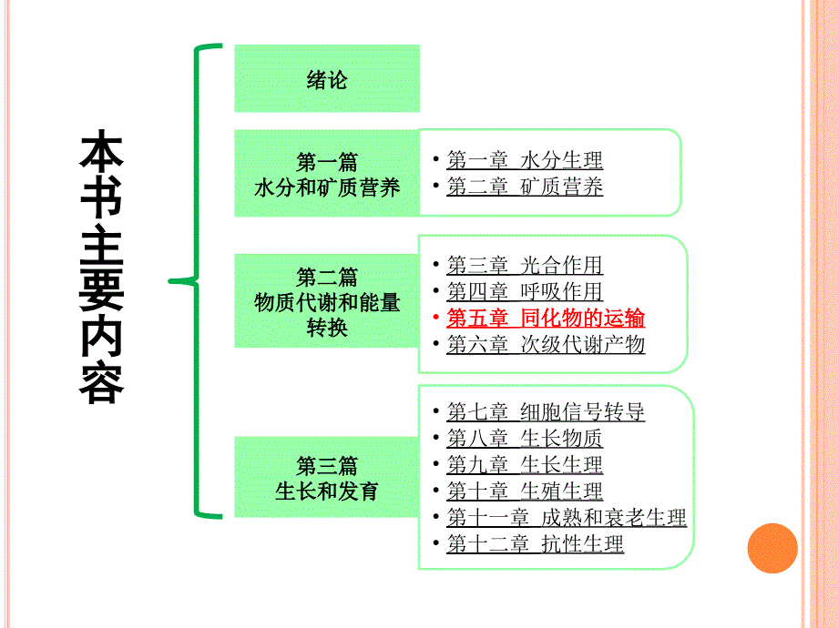 《植物生理学》课件第五章+同化物的运输_第1页